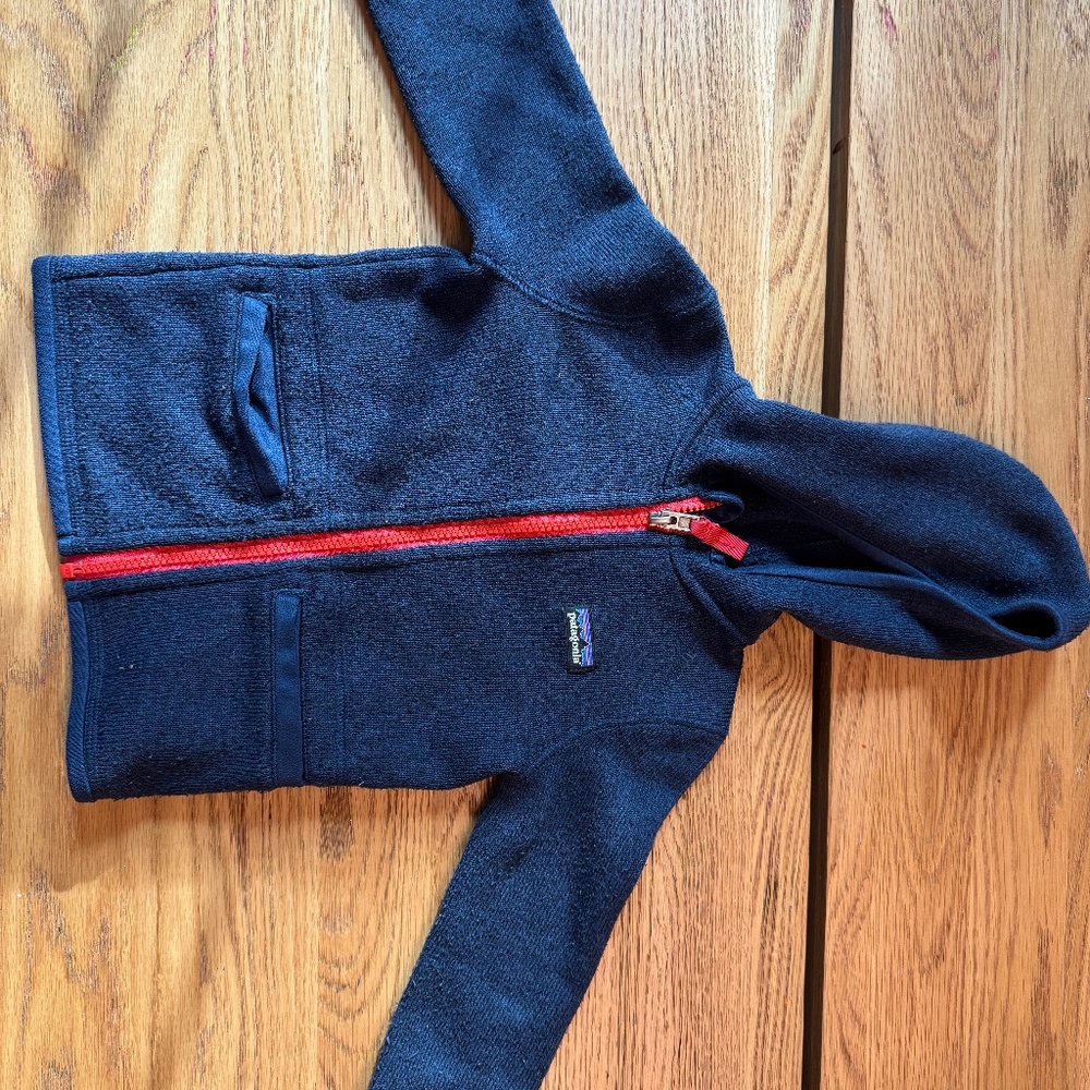 Patagonia toddler better sweater fleece hoody